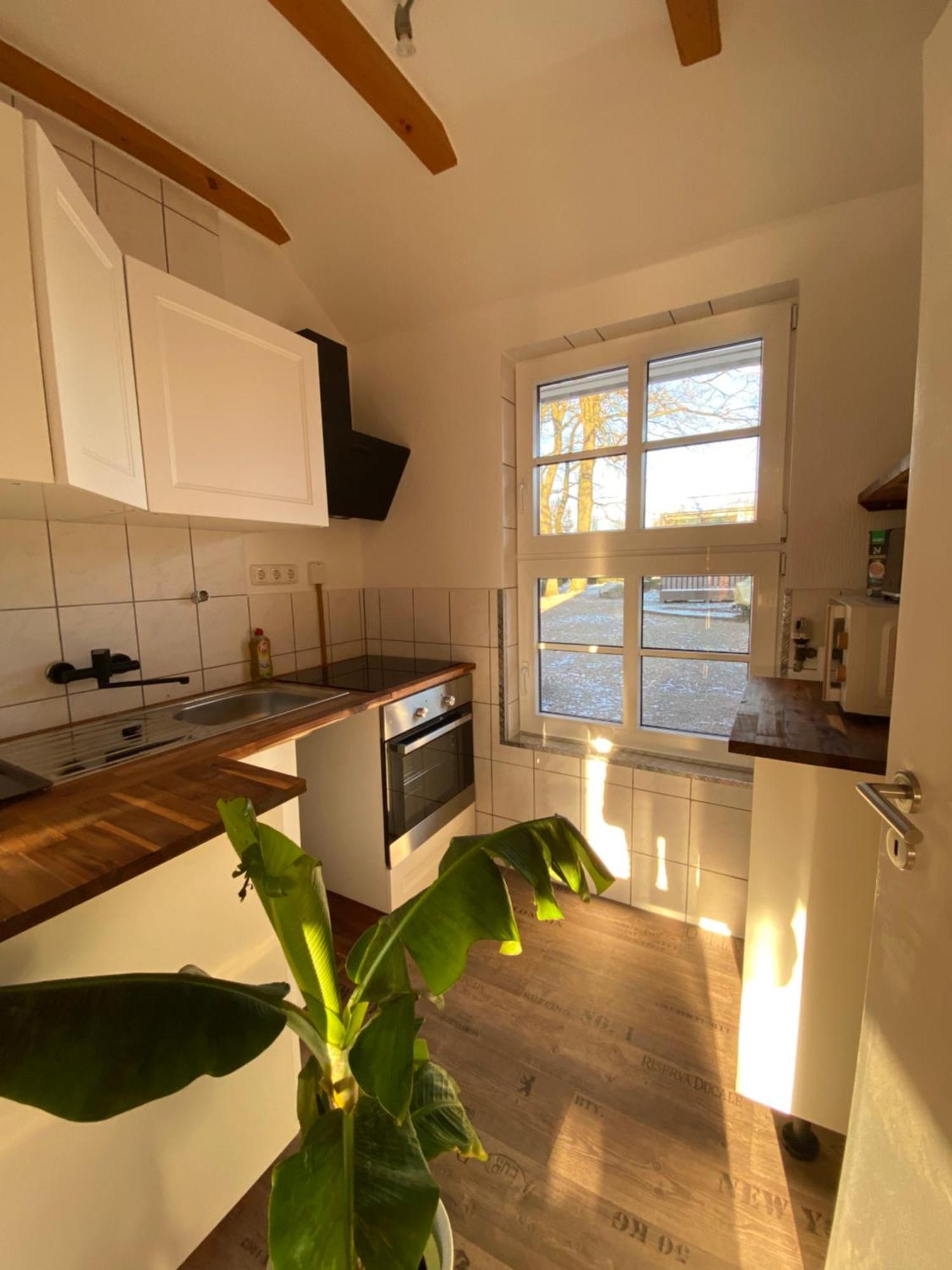 Ferienhaus Banana Lodge Bruchhausen-Vilsen Ngoại thất bức ảnh