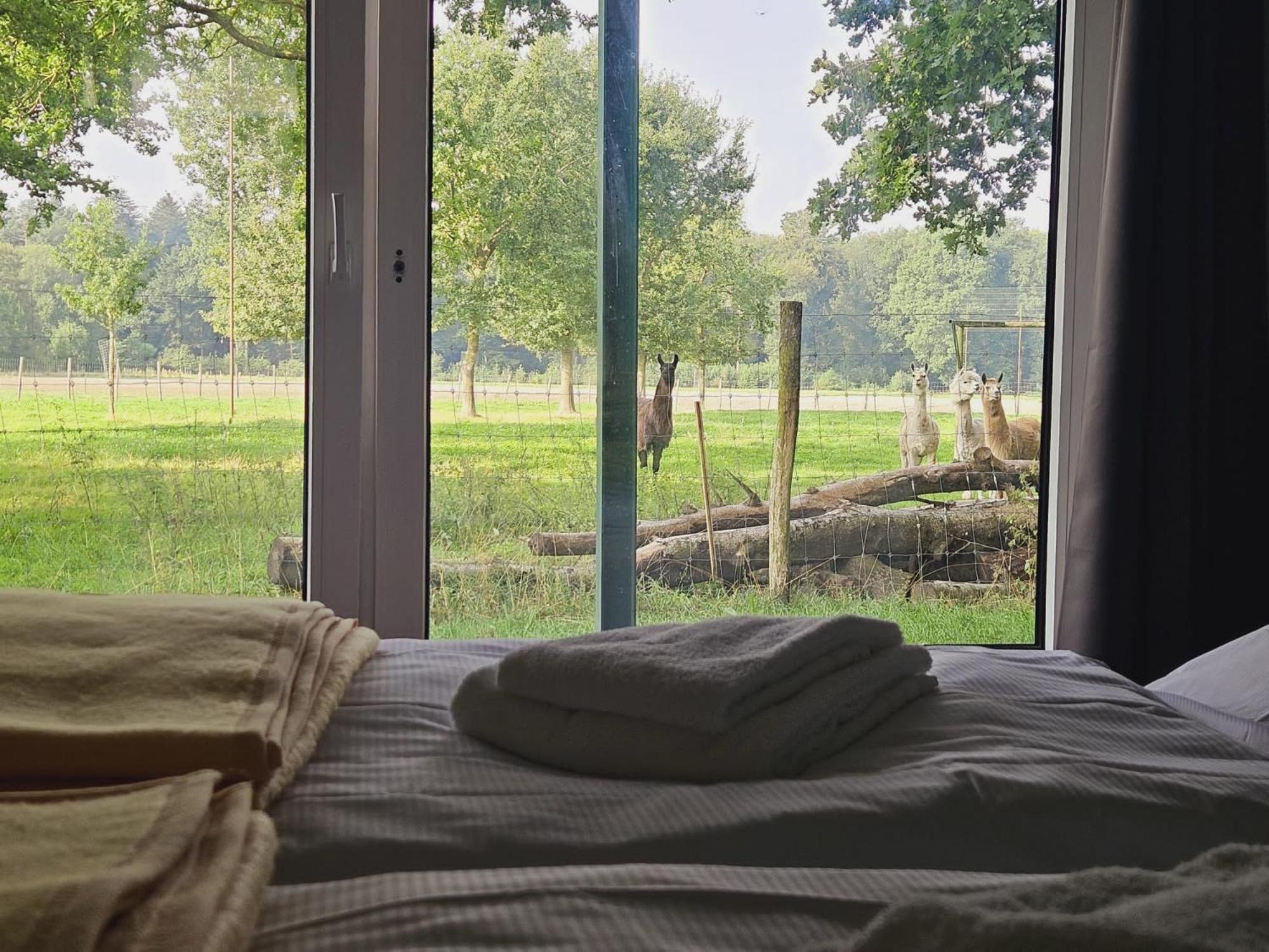 Ferienhaus Banana Lodge Bruchhausen-Vilsen Ngoại thất bức ảnh