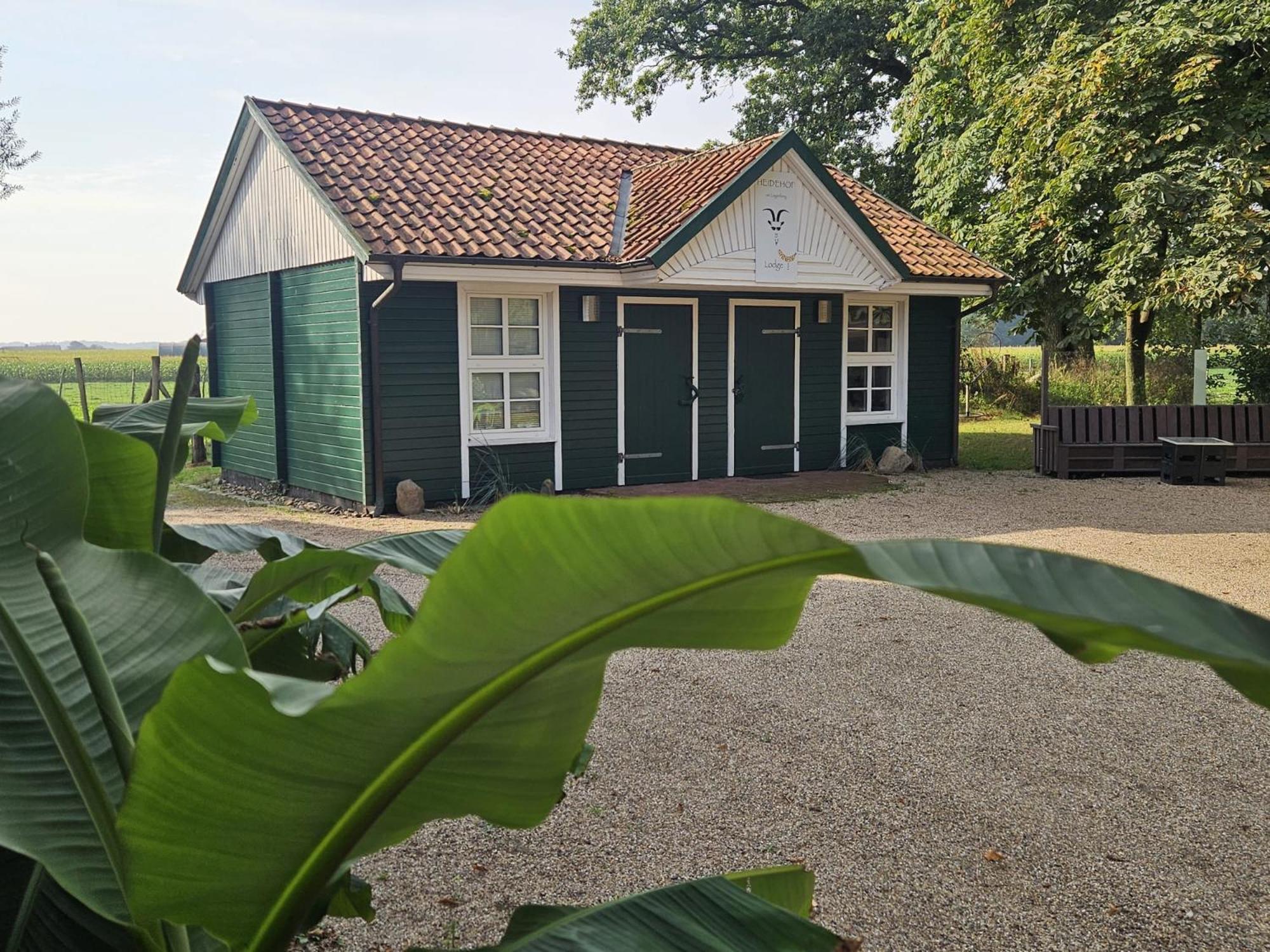 Ferienhaus Banana Lodge Bruchhausen-Vilsen Ngoại thất bức ảnh
